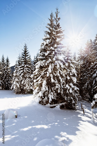 Idyllische Winterlandschaft eines tief verschneiten Waldes © steinerpicture
