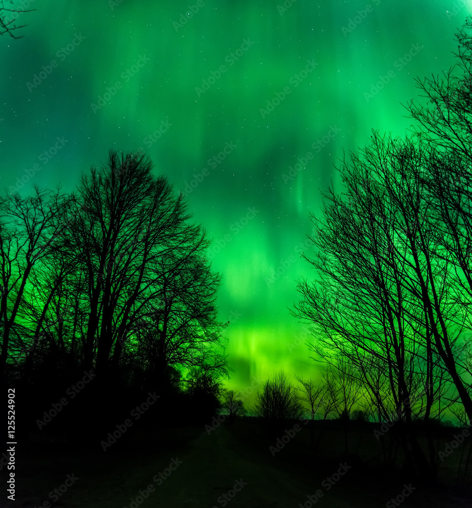 northern lights nike