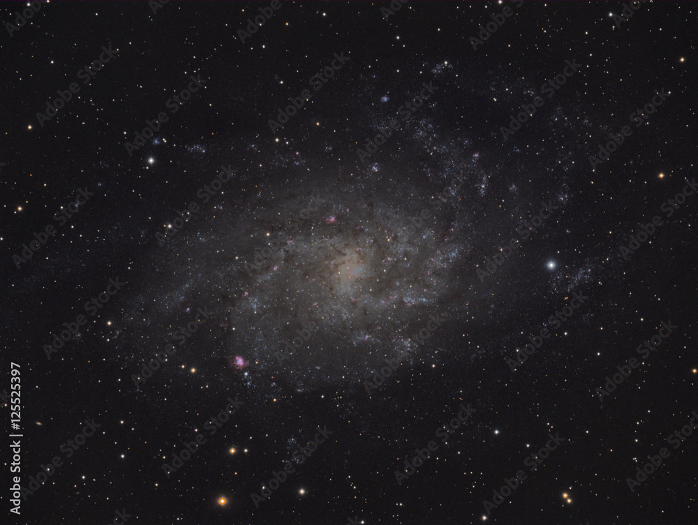 Fototapeta premium spiral galaxy