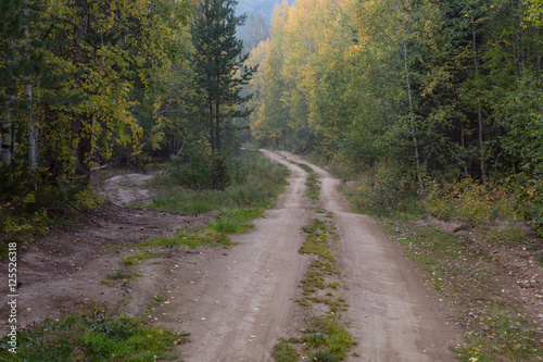 Country road in the autumn forest. Baikal taiga. Buryatia. Russia.