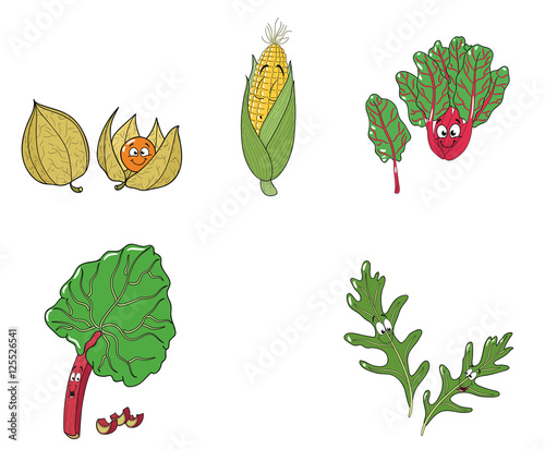 Fünf freundliche und gesunde Gemüsesorten