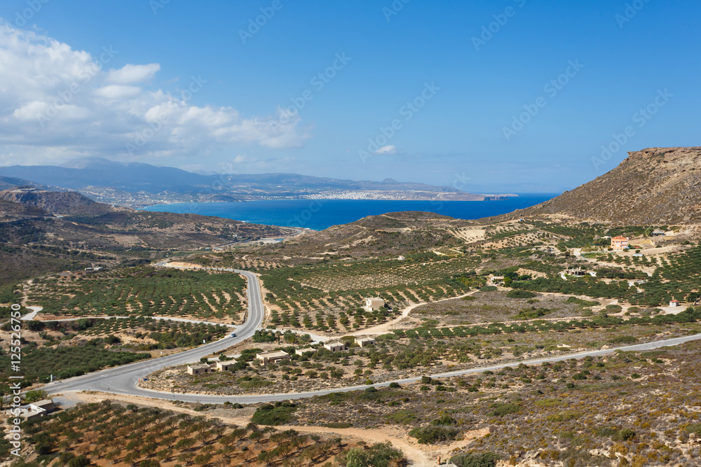Fields of olive trees, Crete