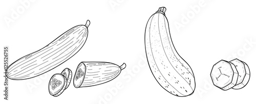 Zucchini und Schlangengurke