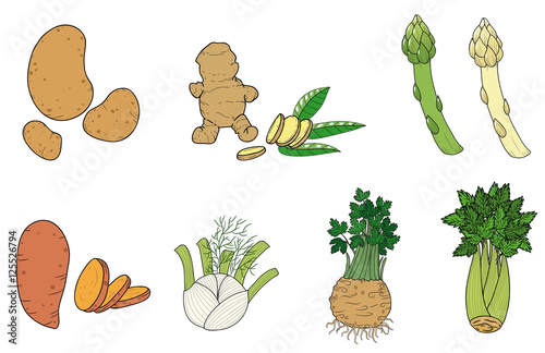 Verschiedene Gemüsesorten