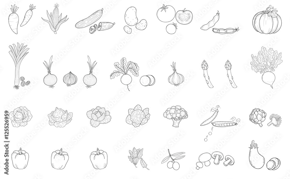 25 verschiedene Gemüsesorten