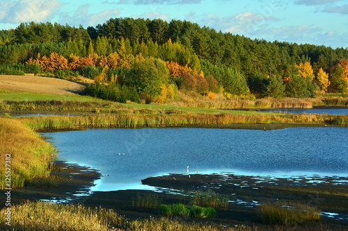 Fototapeta Naklejka Na Ścianę i Meble -  Colorful autumn landscape with lake