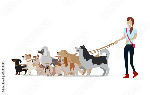 Dog Walking Banner. Woman Walk with Different Dogs