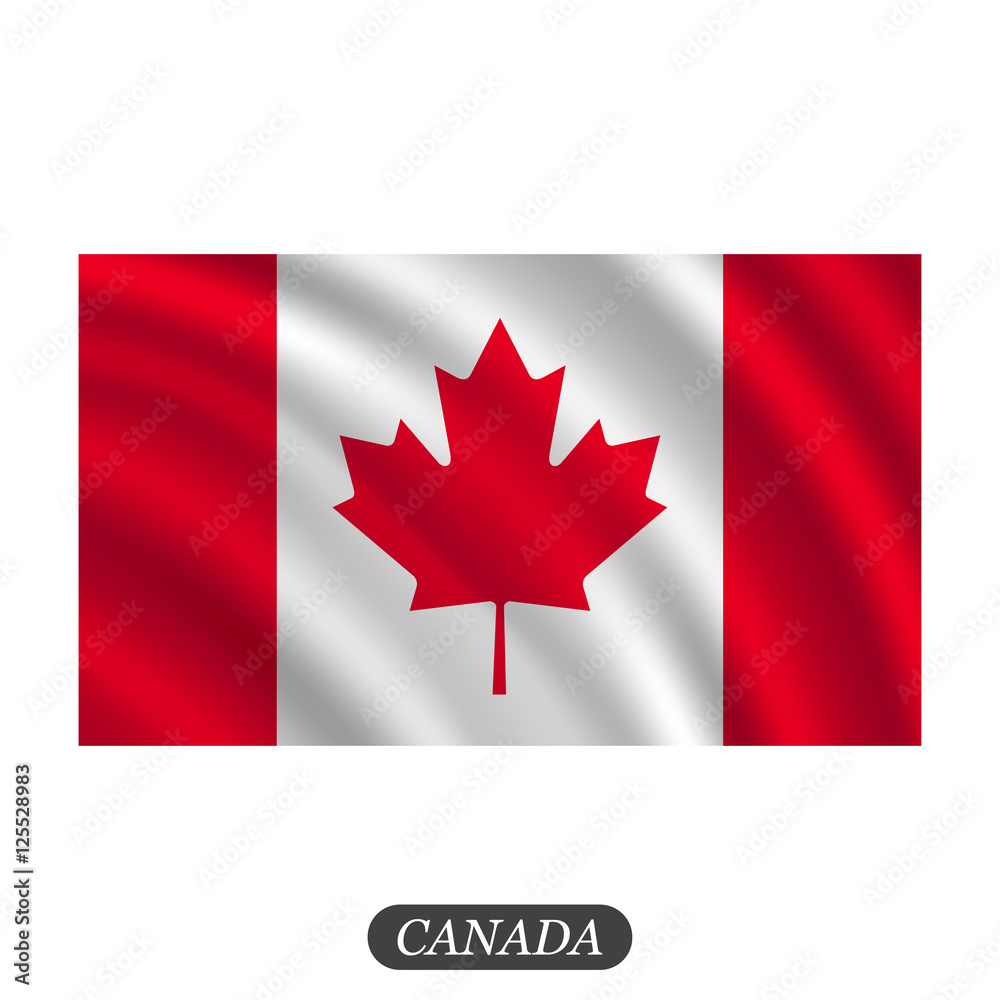 Waving Canada flag on a white background. Vector illustration Waving Canada flag on a white background. Vector illustration