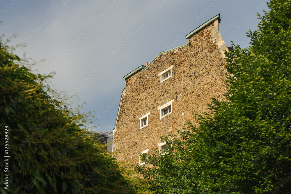 Fototapeta premium Brick wall of residential building in Paris