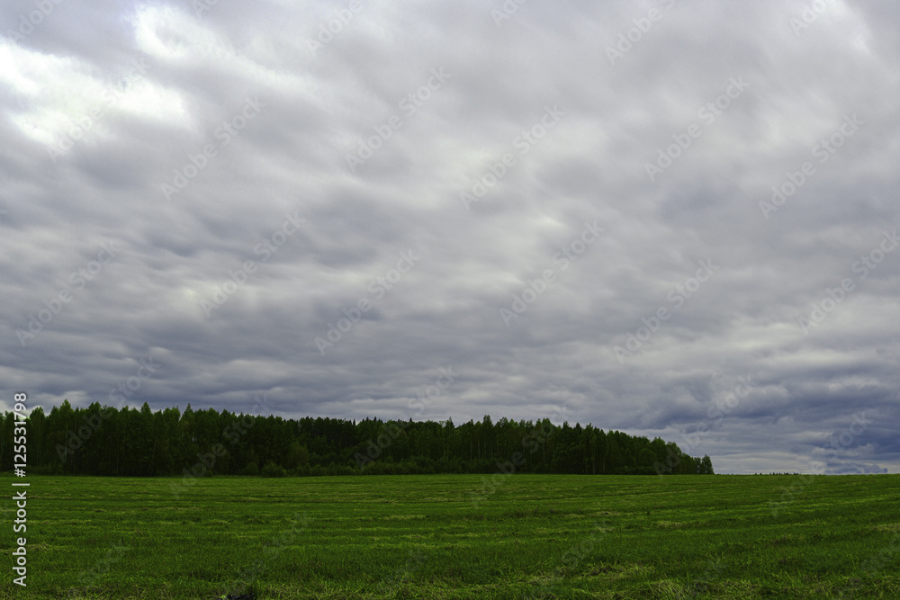field grass forest in the background and storm clouds