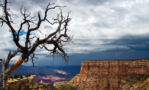Beautiful overview of majestic Grand Canyon during storm