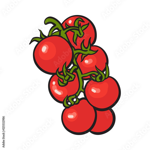 Sketch style drawing of shiny ripe red cherry tomatoes, vector illustration isolated on white background. Appetizing bunch of bright red cherry tomatoes, side view, hand drawn illustration