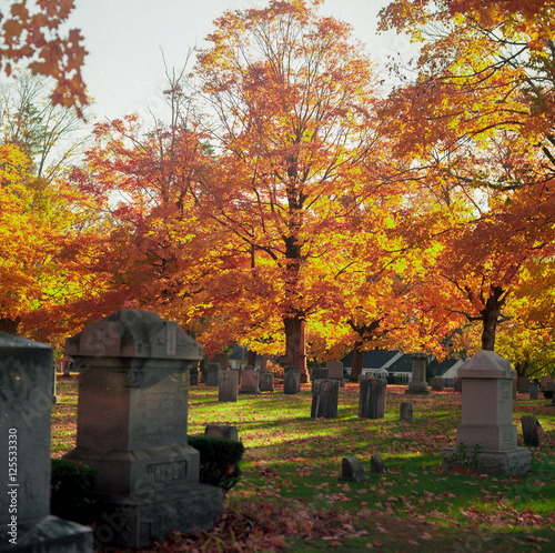 autumn leaves in graveyard