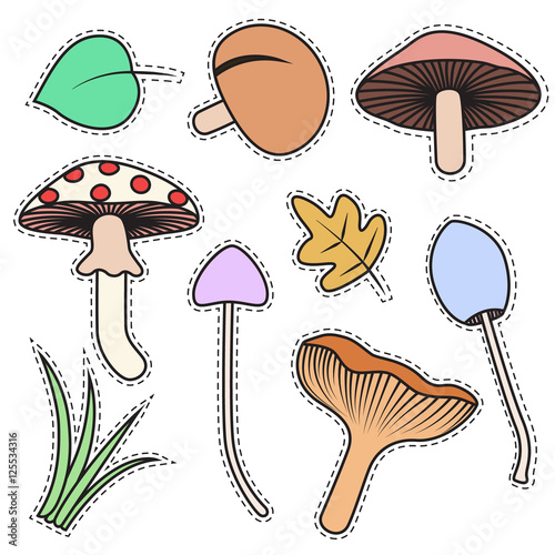  food, cartoon, mushroom cartoon, contour, pop