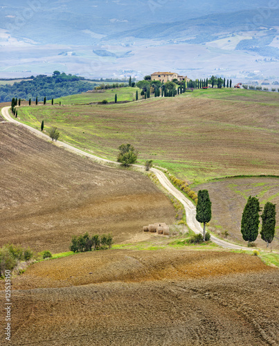 road with cypress to home in Tuscany