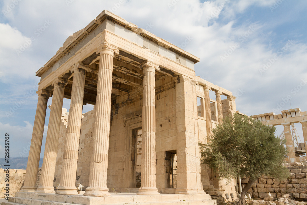 Temple and Olive Tree at the Acropolis of Athens, Greece