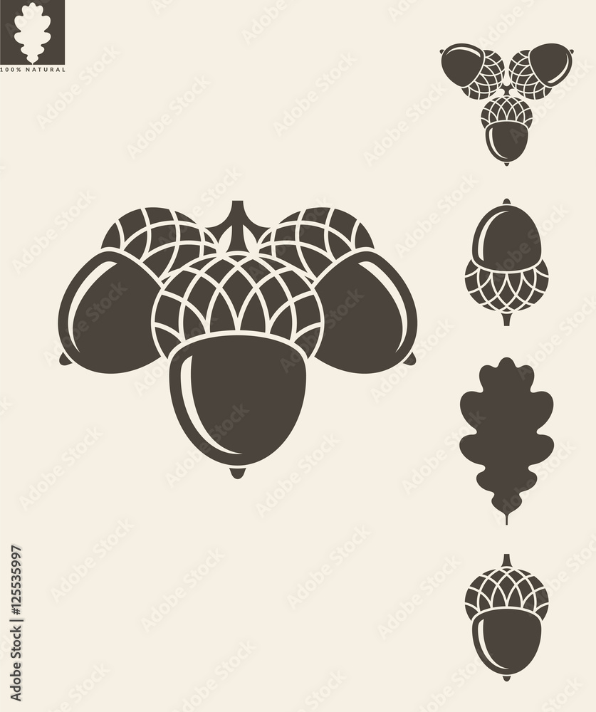 custom made wallpaper toronto digitalAcorn. Vector illustration