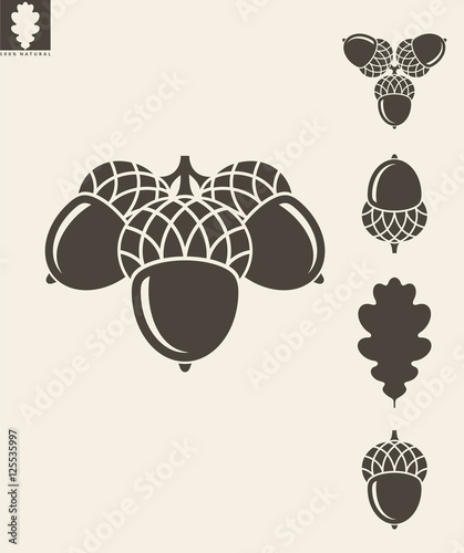 Wallpaper Mural Acorn. Vector illustration Torontodigital.ca