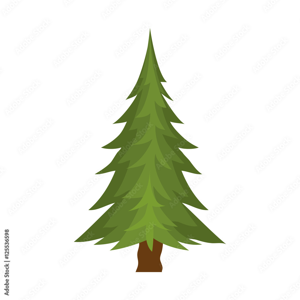 green pine tall tree icon over white background. vector illustration