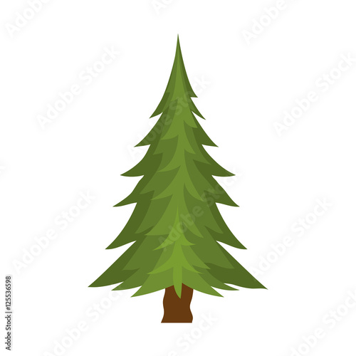 green pine tall tree icon over white background. vector illustration