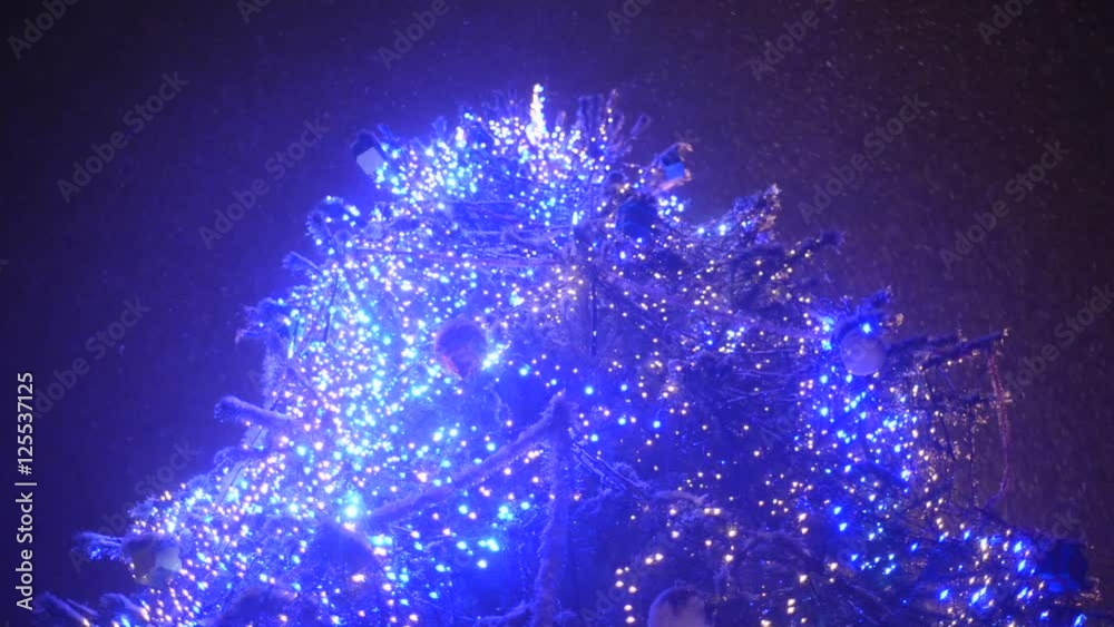Christmas Tree and Heavy Snowing at the Night in Kiev, Ukraine Christmas Tree and Heavy Snowing at the Night in Kiev, Ukraine