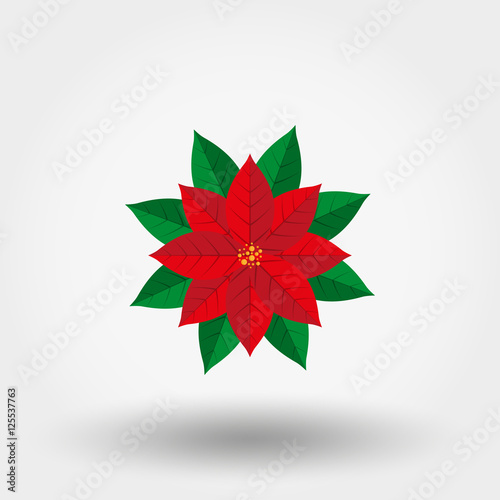 Poinsettia. Christmas Star vector icon