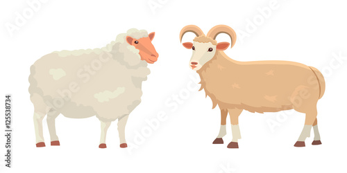 Vector set Cute Sheep and Ram isolated retro illustration. Standing Sheeps silhouette on white. Farm fanny milk young animals