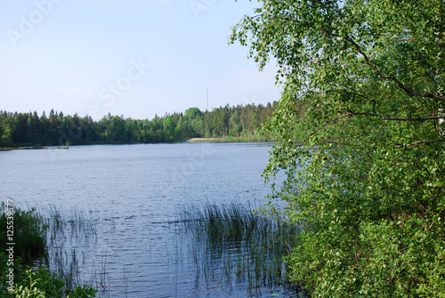 Fototapeta Naklejka Na Ścianę i Meble -  Swedish lake view