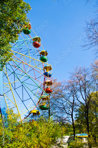 Ferris wheel in a green park of city Kremenchug