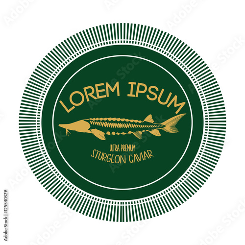 Caviar Concept Designs