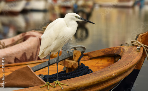 The Great Egret  ( Ardea alba ). White heron standing on a boat in marina. 