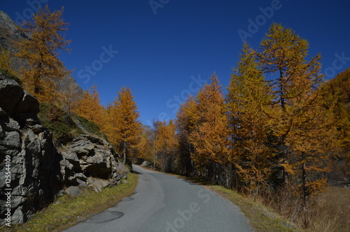 Autunno in montagna