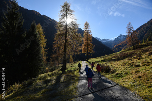 ecursione camminare nel bosco all'aria aperta escursione camminata gita nel bosco in montagna bambini salute aria aperta, © franzdell