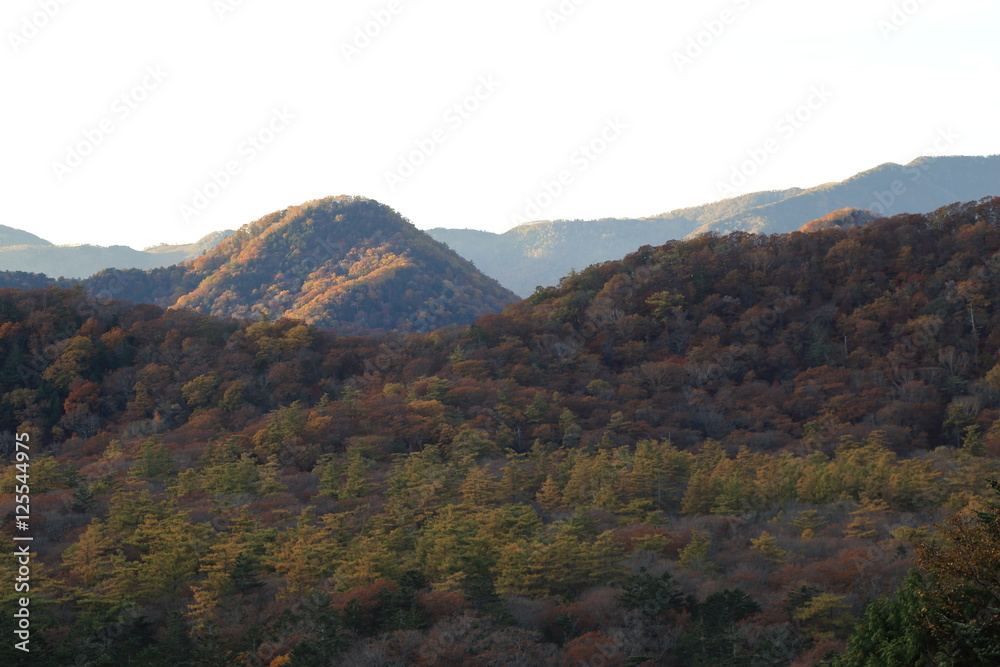 秋の奥日光 ( A autumn landscape at Okunikko in Nikko city )