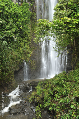 Tropical rain forest waterfall on the road to Hana  Maui  Hawaii