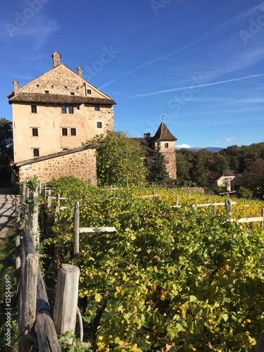 castello castelli vigne vigneti cantine costruzione storica Alto Adige 