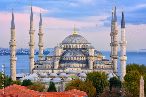 Blue Mosque and Bosphorus, Istanbul, Turkey