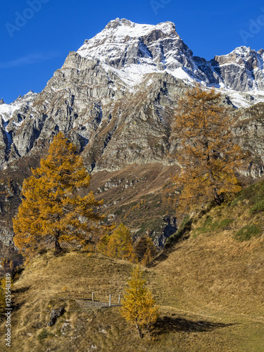 Foto Autunno alpino ( Alpe Devero )