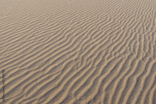 Desert Sand Ripples