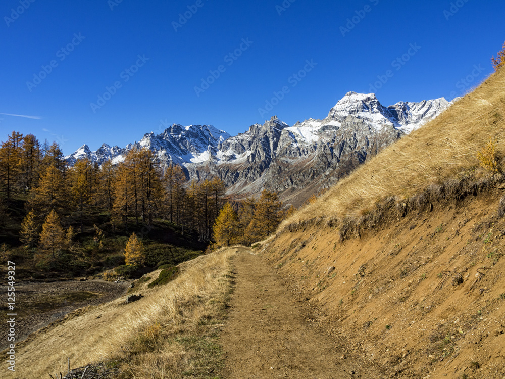 Autunno alpino ( Alpe Devero )