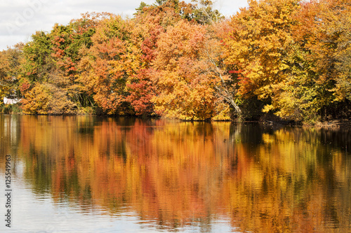 Colorfull fall leaves reflecting in Southards Pond