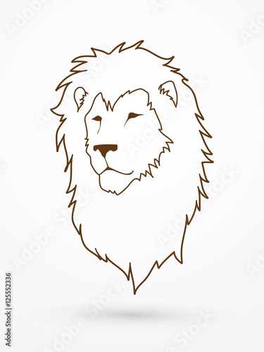 Lion head outline graphic vector