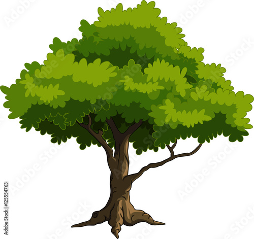 green tree for you design