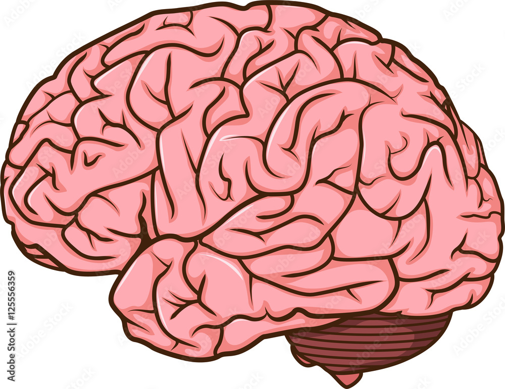 human brain cartoon Stock Illustration | Adobe Stock