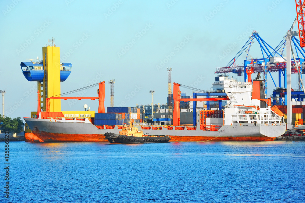 Fototapeta premium Tugboat assisting bulk cargo ship