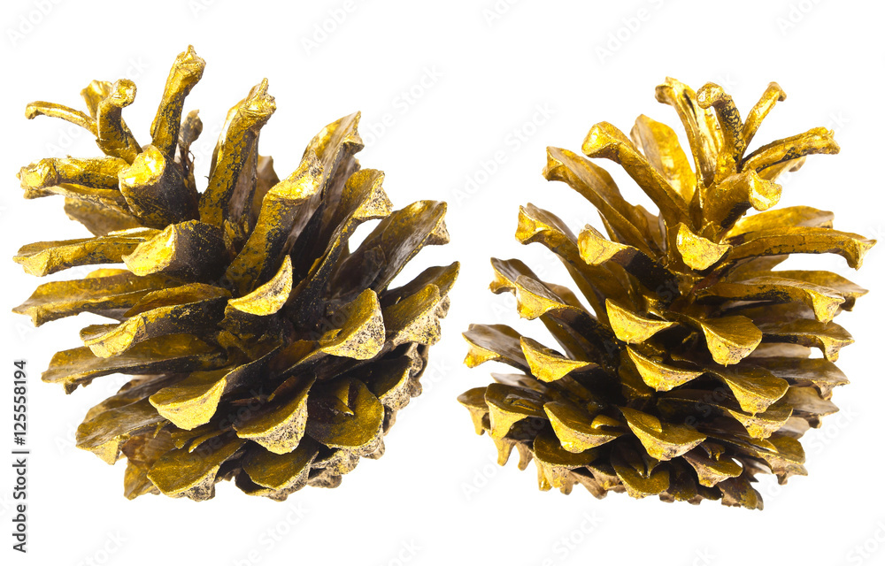 Golden Christmas pine cones on a white background