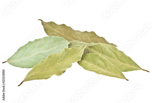 Dried bay laurel leaves isolated on a white background, close up