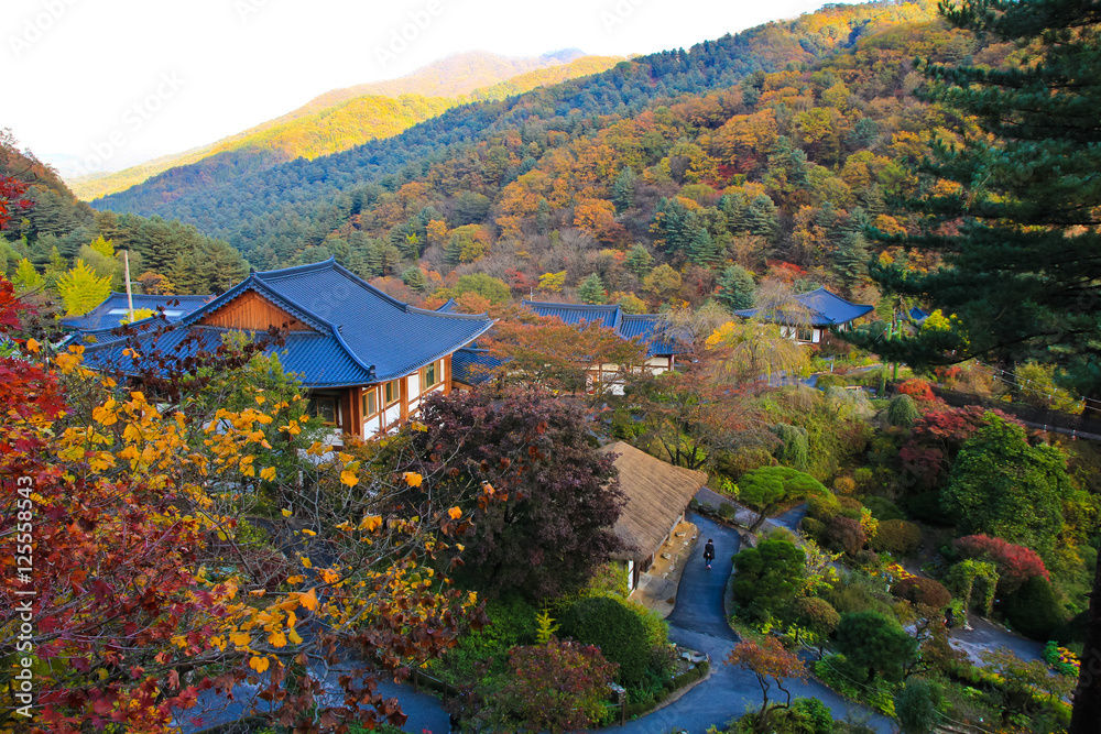 traditional garden house in the woods( Autumn scenery ) / A view of traditional garden house in the woods surrounded with autumnal colored trees in Korea 