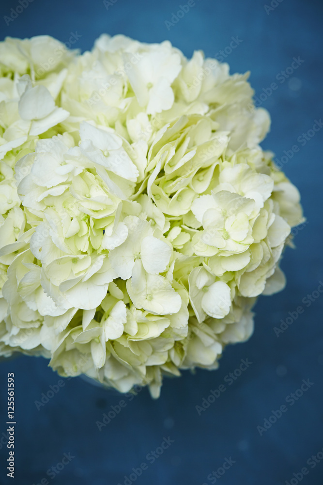 Flower bouquet Flower bouquet