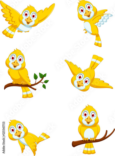 collection of yellow bird cartoon posing
